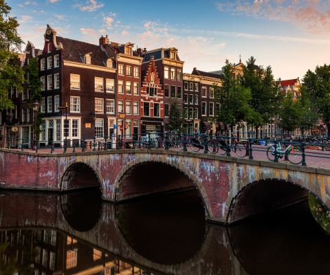 Amsterdam screenshot #1 480x400