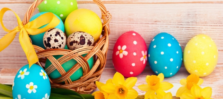 Fondo de pantalla Easter Spring Daffodils Flowers and Eggs Decorations 720x320