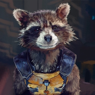 Rocket Raccoon Picture for 2048x2048