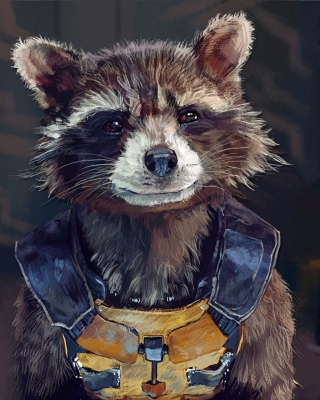 Rocket Raccoon Picture for 640x960