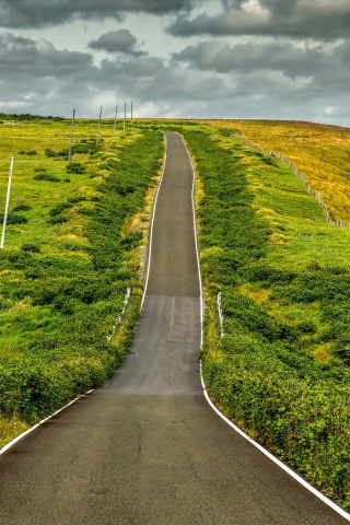 Das Highway in Scotland Wallpaper 320x480