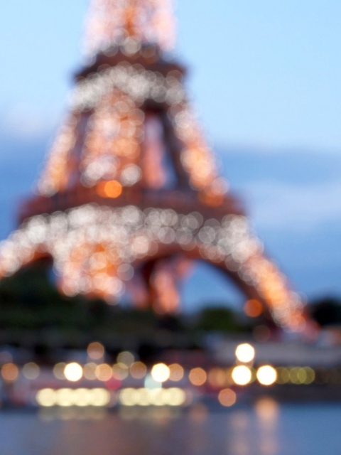 Paris City Lights screenshot #1 480x640