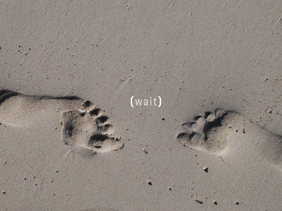 Fondo de pantalla Footprints On Sand 1152x864