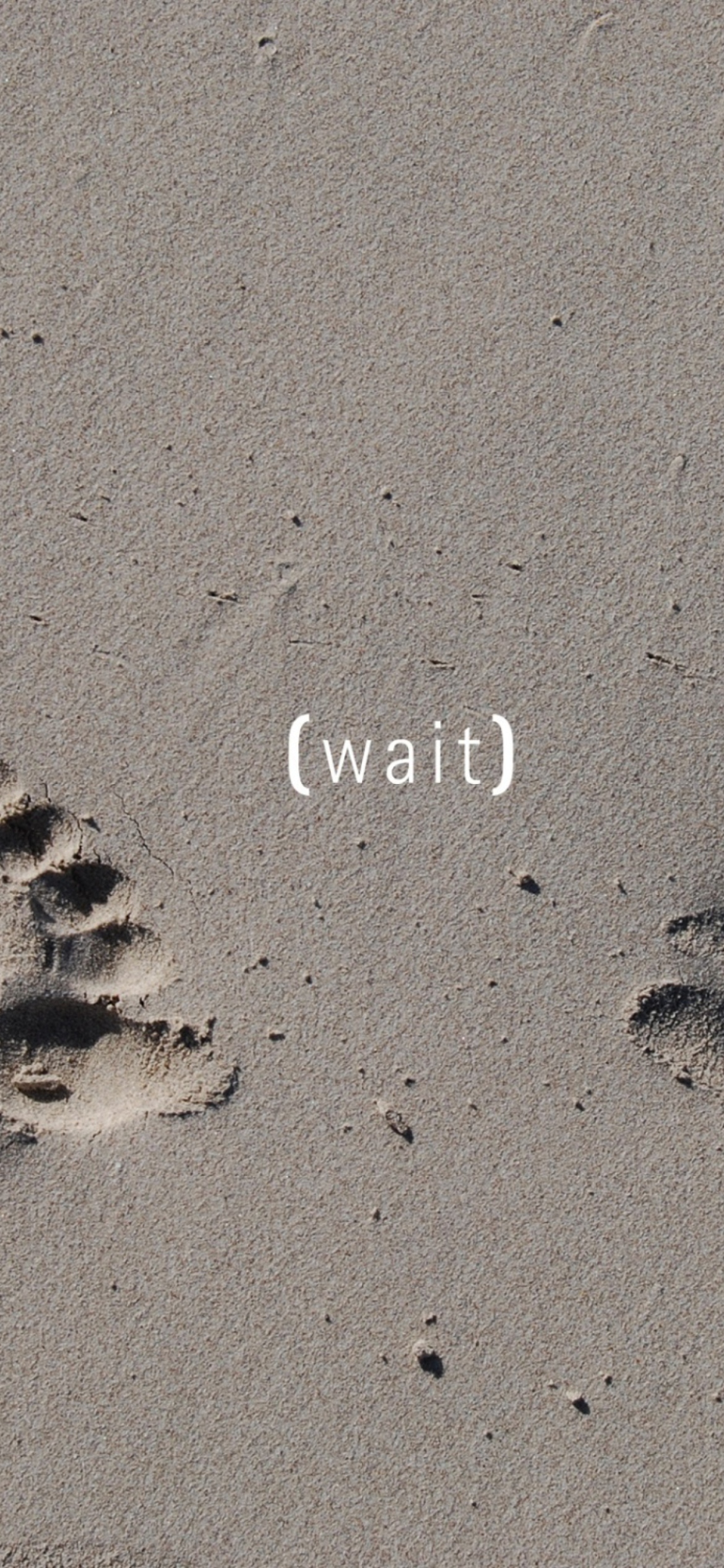 Das Footprints On Sand Wallpaper 1170x2532