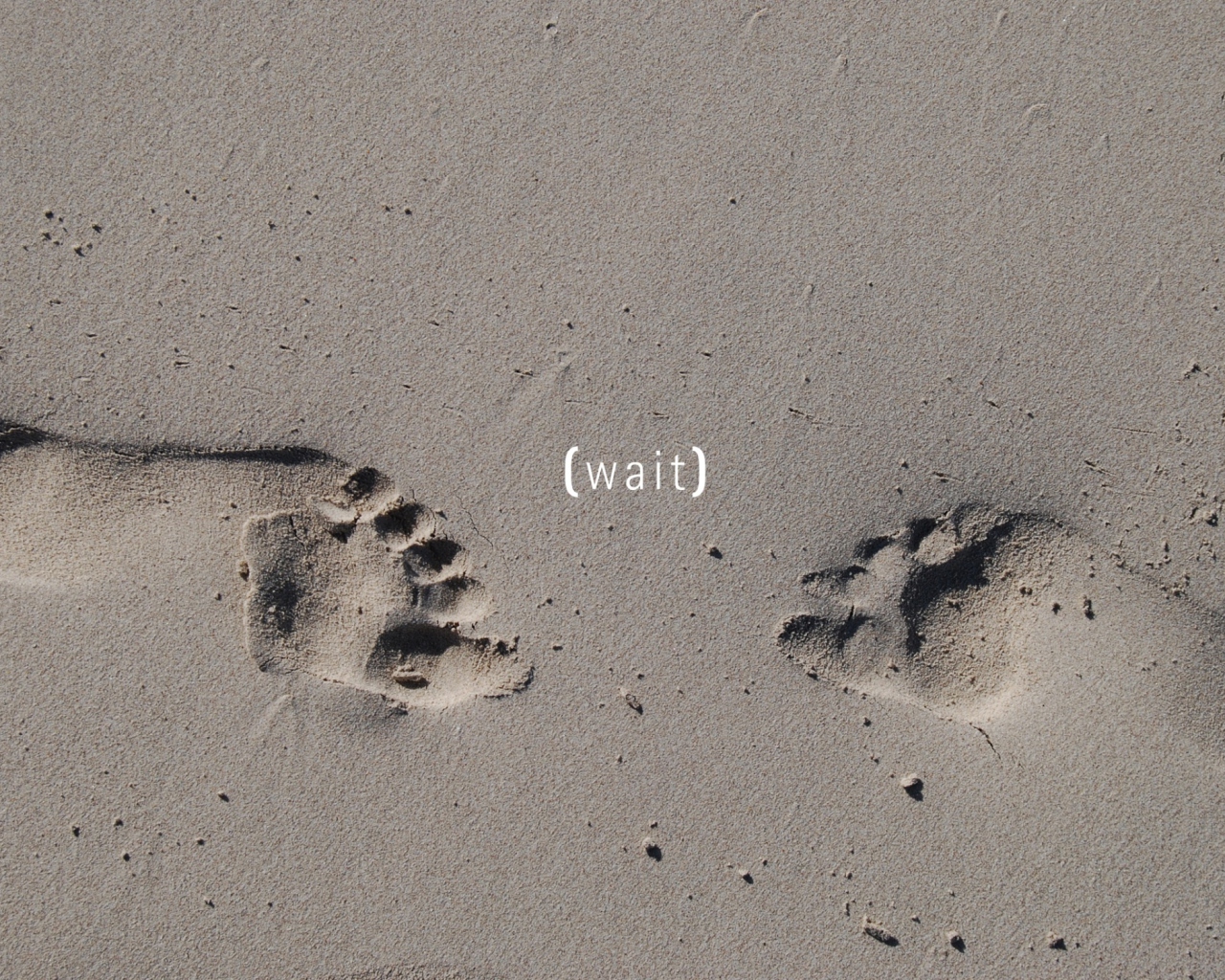Fondo de pantalla Footprints On Sand 1280x1024