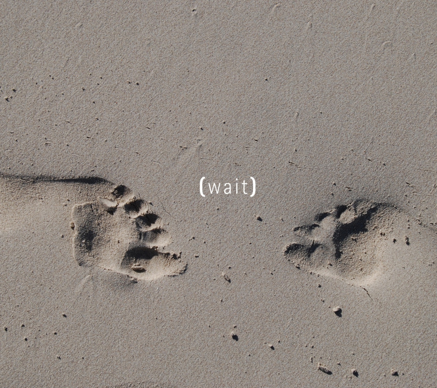Fondo de pantalla Footprints On Sand 1440x1280