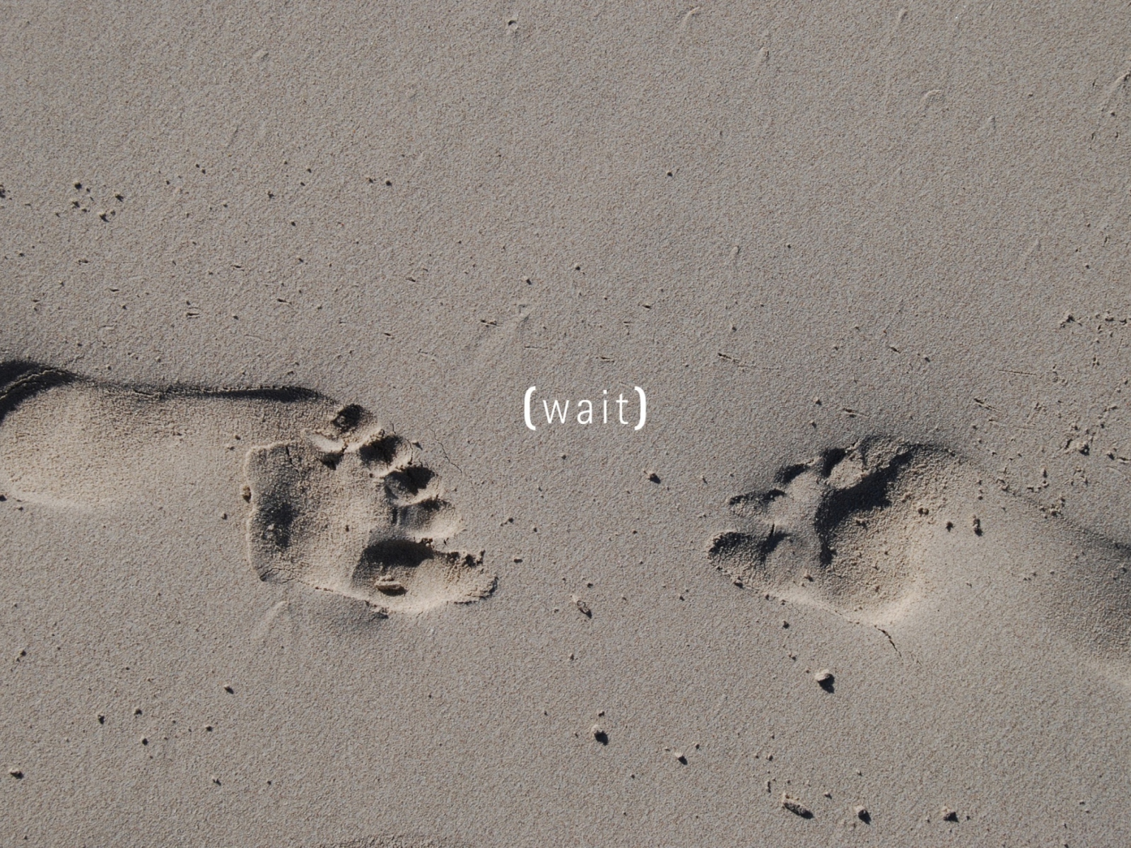 Footprints On Sand wallpaper 1600x1200