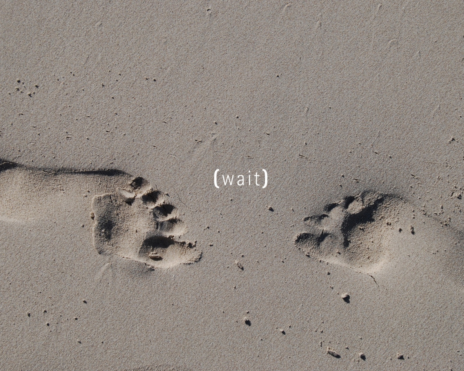 Das Footprints On Sand Wallpaper 1600x1280