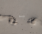 Footprints On Sand wallpaper 176x144