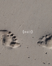 Sfondi Footprints On Sand 176x220