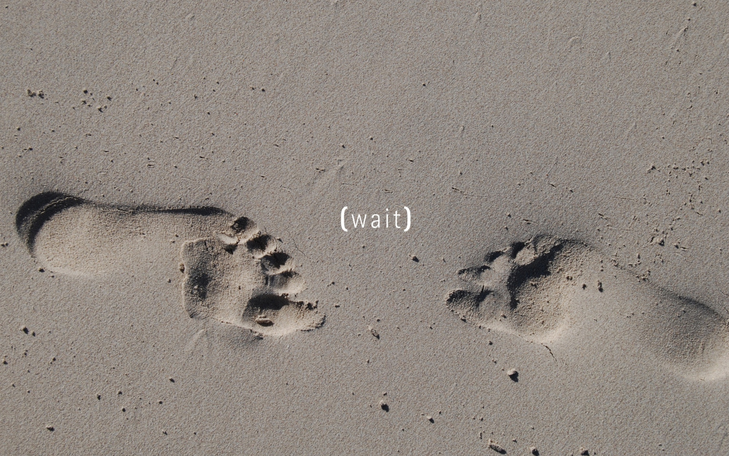 Screenshot №1 pro téma Footprints On Sand 2560x1600