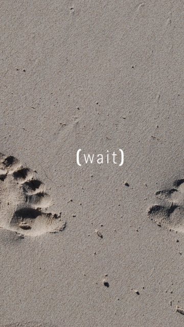 Das Footprints On Sand Wallpaper 360x640