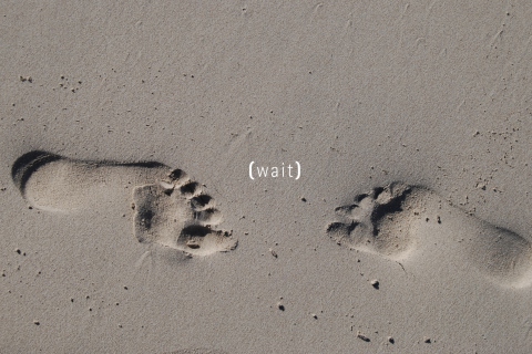 Обои Footprints On Sand 480x320