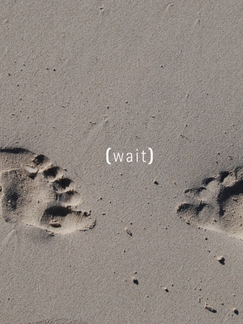 Footprints On Sand wallpaper 480x640
