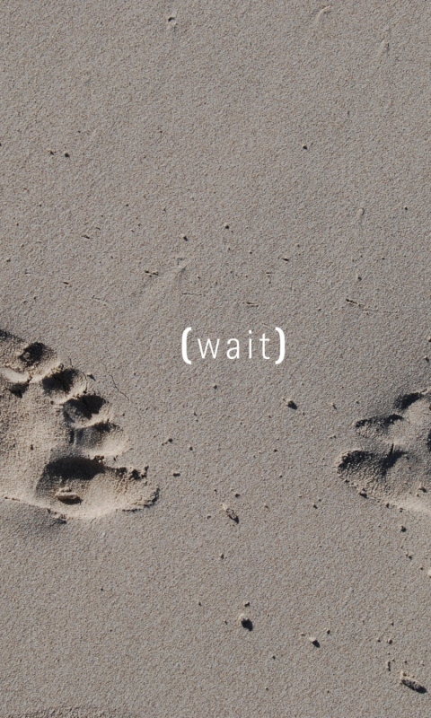 Screenshot №1 pro téma Footprints On Sand 480x800