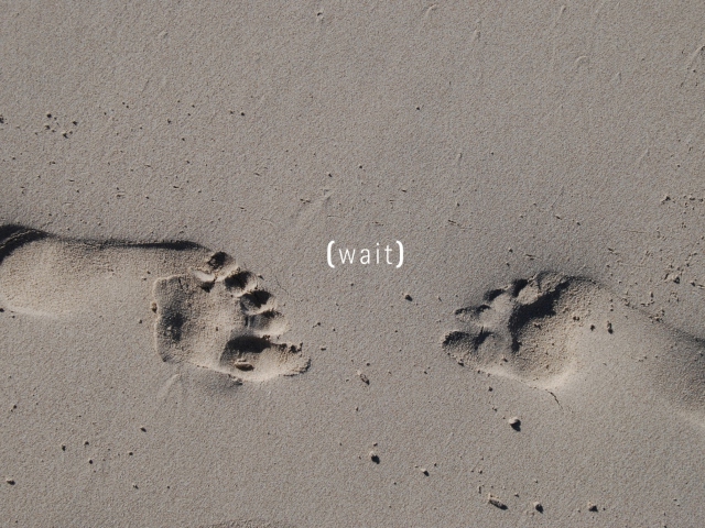 Das Footprints On Sand Wallpaper 640x480