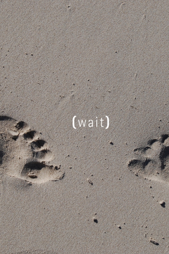 Footprints On Sand screenshot #1 640x960