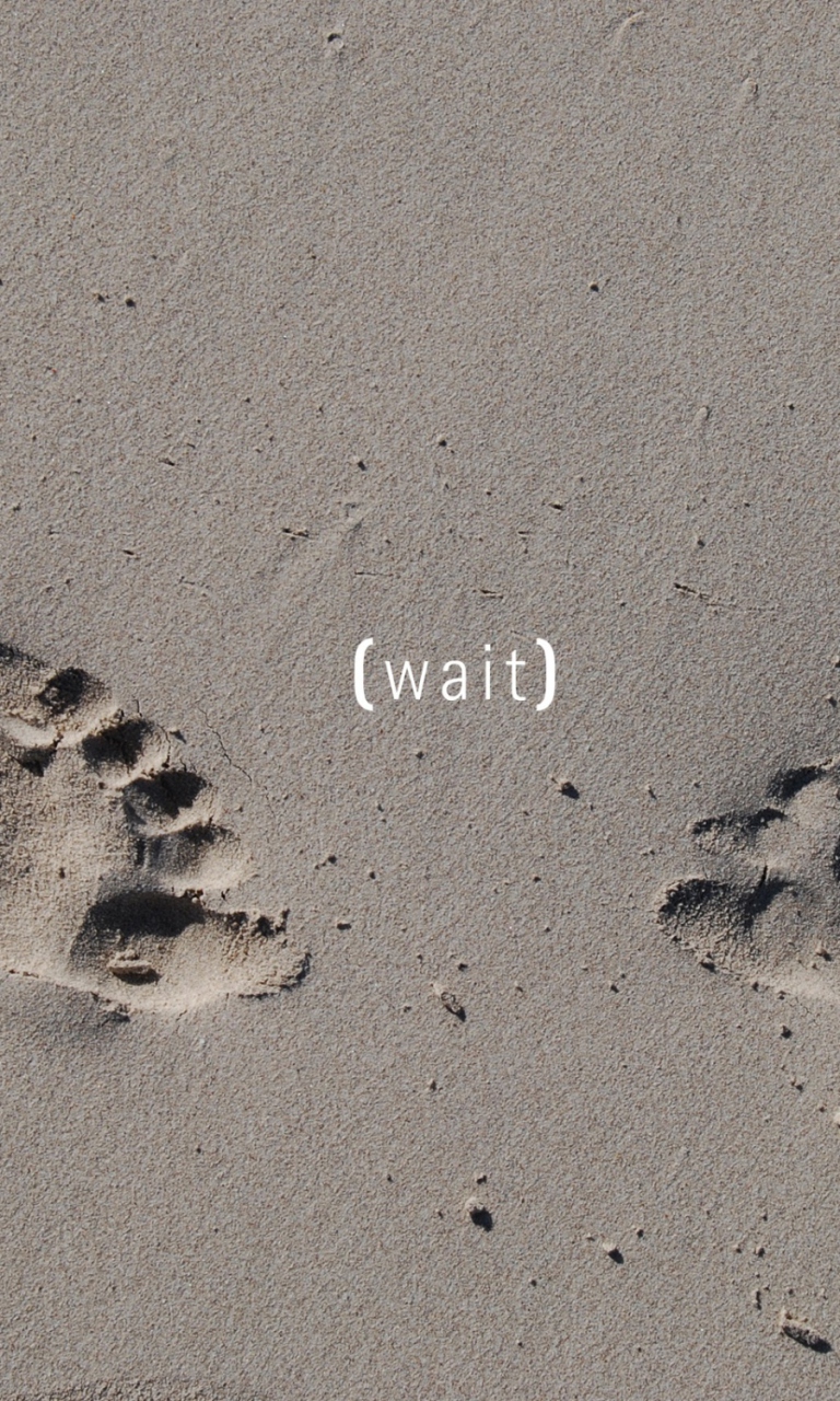 Sfondi Footprints On Sand 768x1280