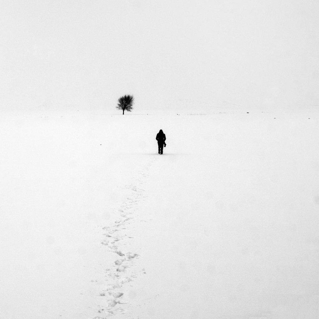 Das Lonely Winter Landscape Wallpaper 1024x1024