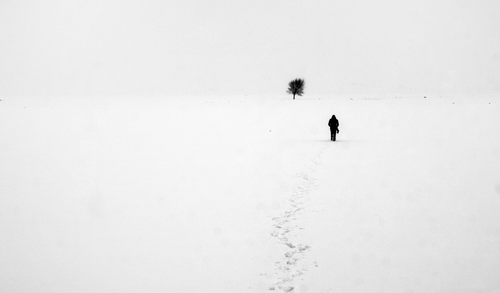 Lonely Winter Landscape screenshot #1 1024x600