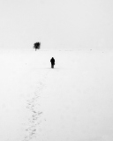 Fondo de pantalla Lonely Winter Landscape 128x160