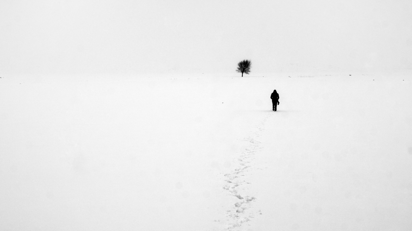 Sfondi Lonely Winter Landscape 1366x768
