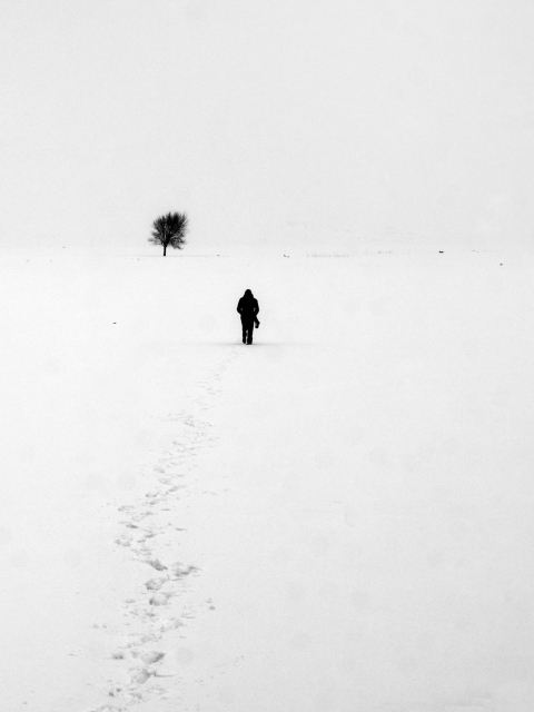 Lonely Winter Landscape wallpaper 480x640
