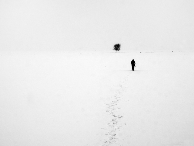Das Lonely Winter Landscape Wallpaper 640x480