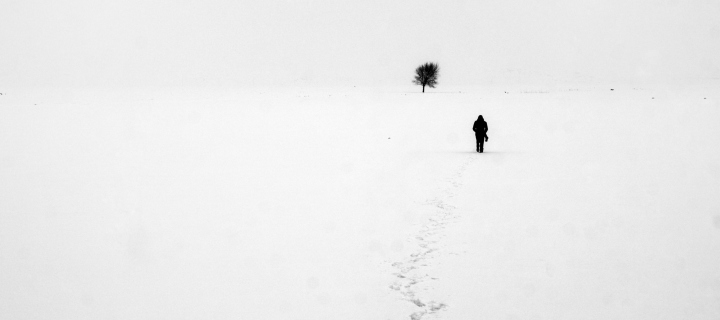 Lonely Winter Landscape wallpaper 720x320