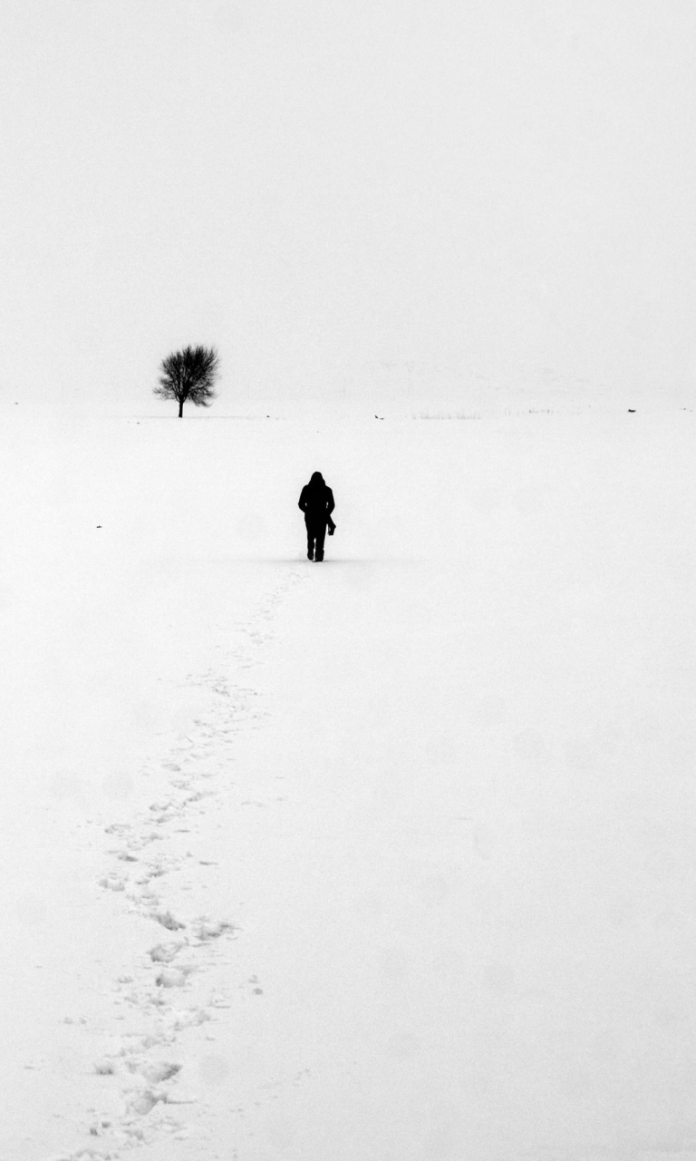 Lonely Winter Landscape wallpaper 768x1280
