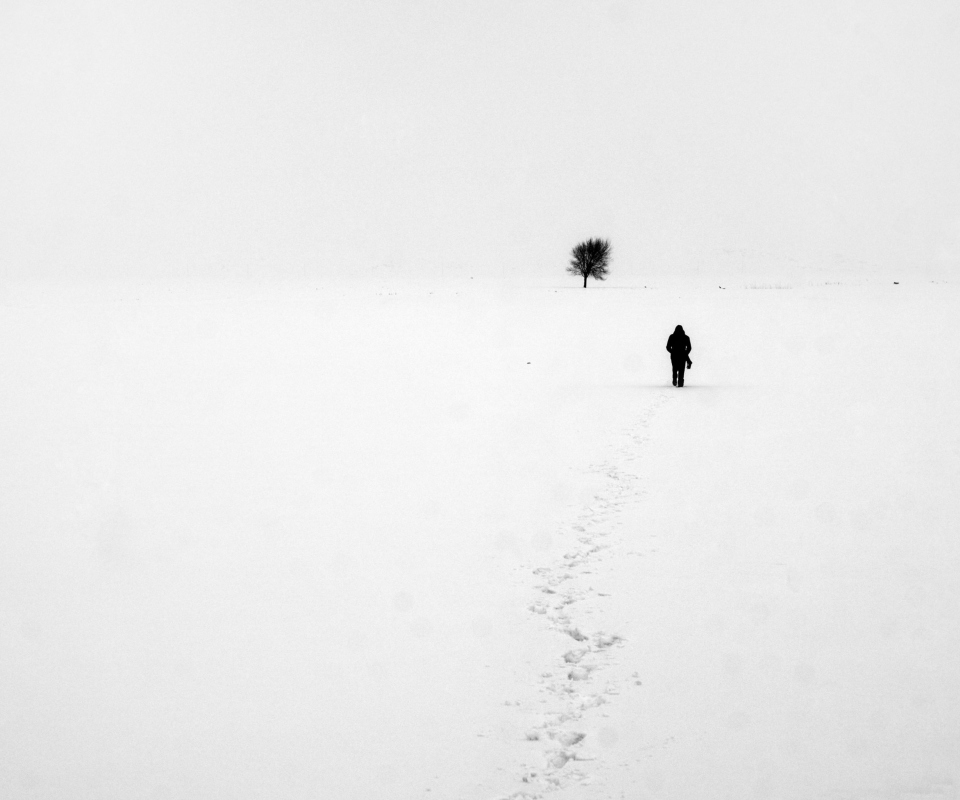 Обои Lonely Winter Landscape 960x800