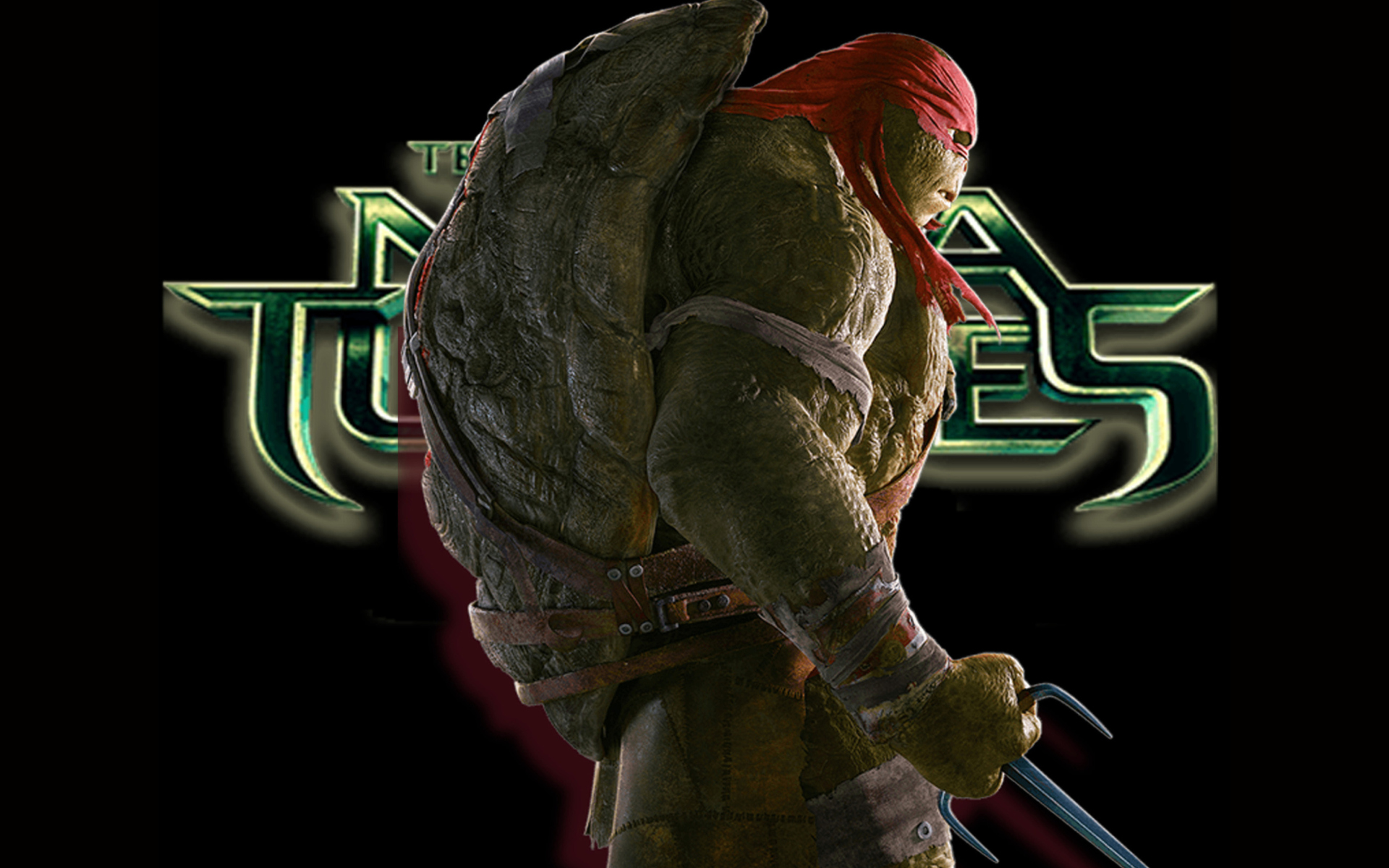 Teenage Mutant Ninja Turtles  Raphael 1440x3120  9GAG