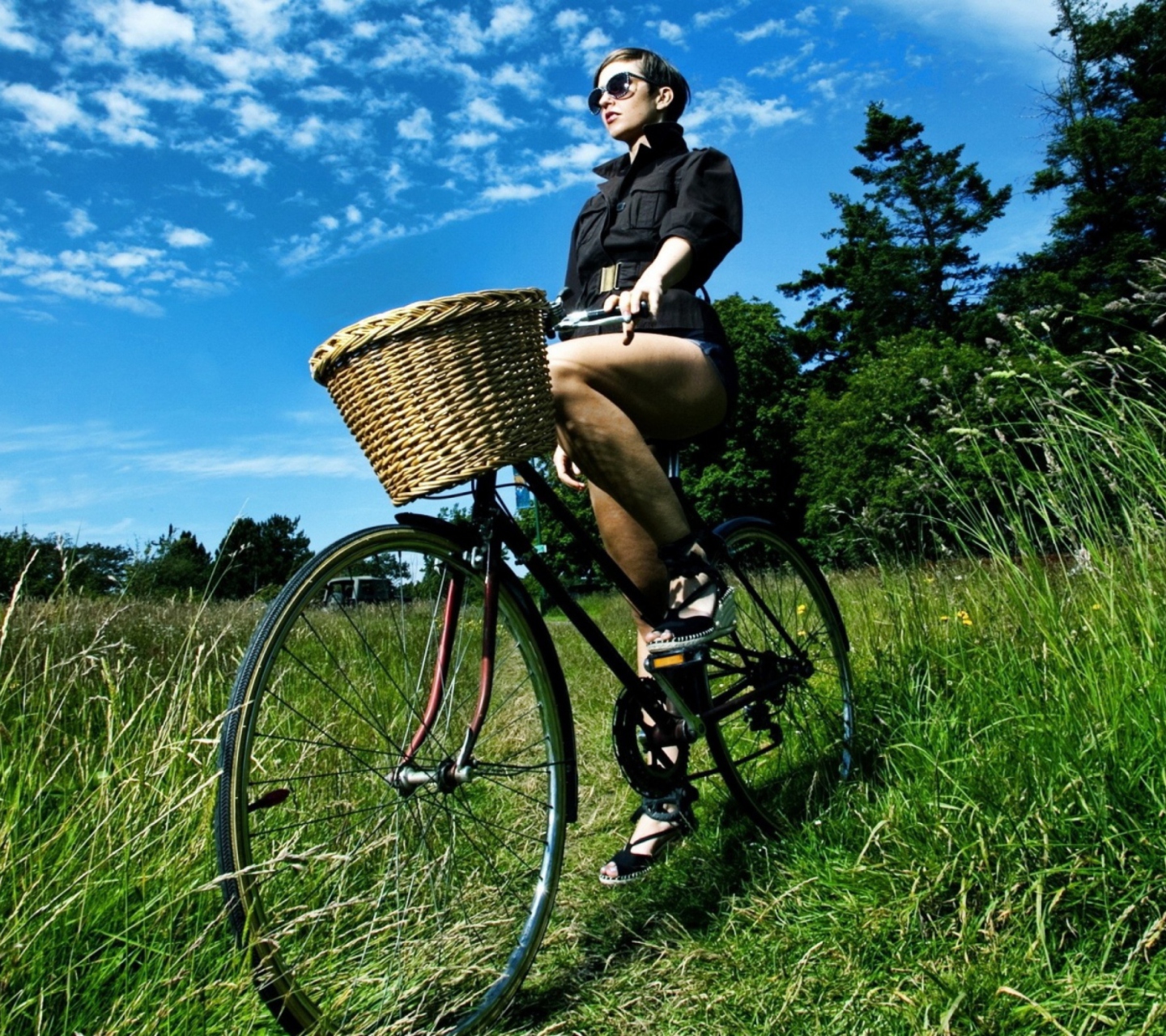 Bicycle Ride wallpaper 1440x1280