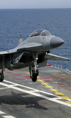 MiG 29 Fighter Aircraft screenshot #1 240x400