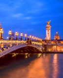 Обои Pont Alexandre III 128x160