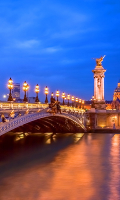 Screenshot №1 pro téma Pont Alexandre III 240x400