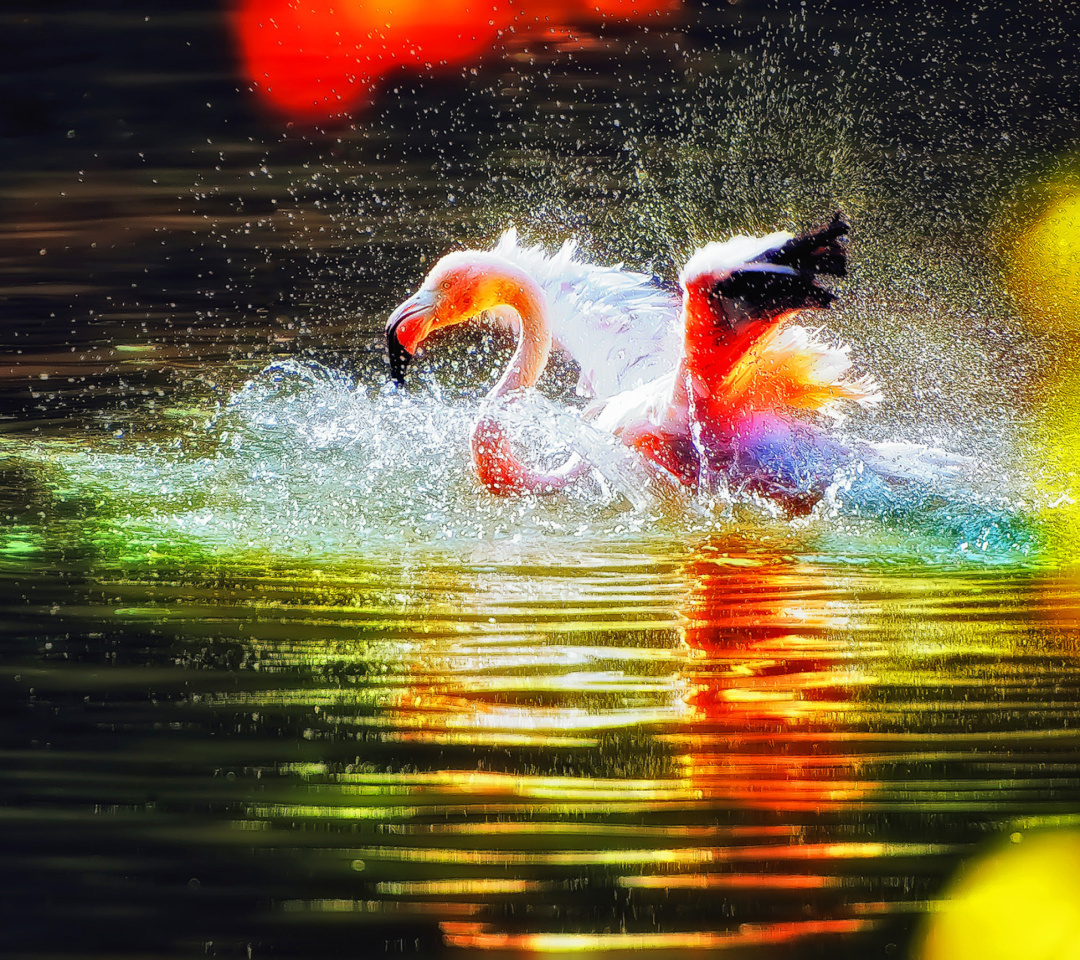 Sfondi Flamingo Splash 1080x960