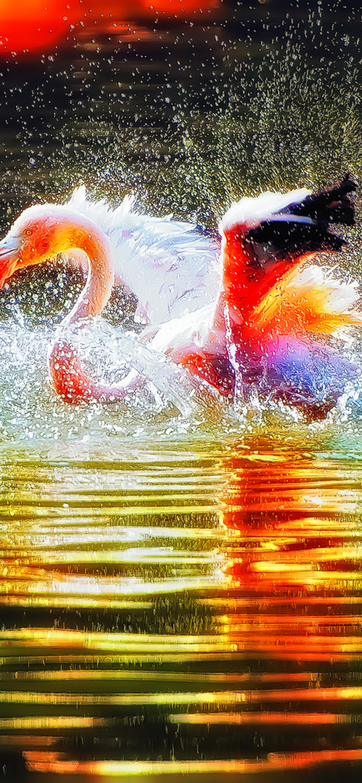 Flamingo Splash wallpaper 1170x2532