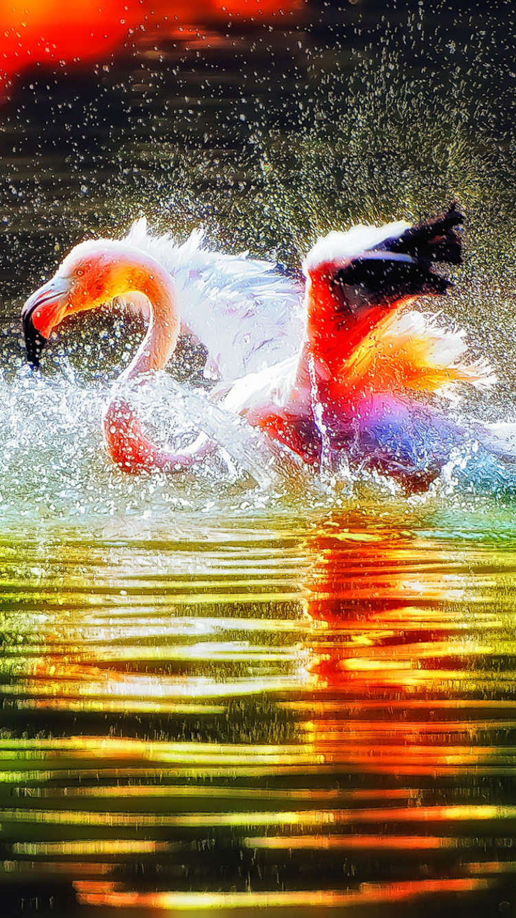 Sfondi Flamingo Splash 750x1334
