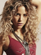 Screenshot №1 pro téma Shakira 132x176
