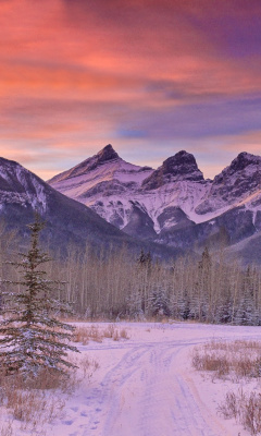 Screenshot №1 pro téma Mont Tremblant, Quebec 240x400