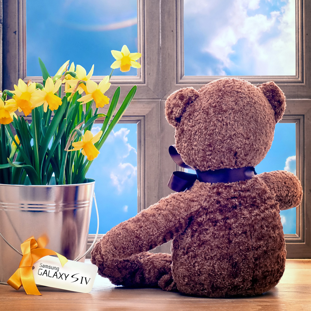 Обои Teddy Bear with Bouquet 1024x1024