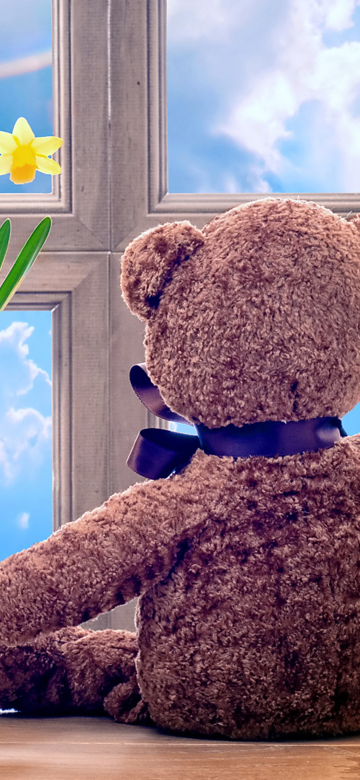 Fondo de pantalla Teddy Bear with Bouquet 1170x2532