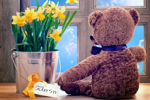 Fondo de pantalla Teddy Bear with Bouquet 480x320