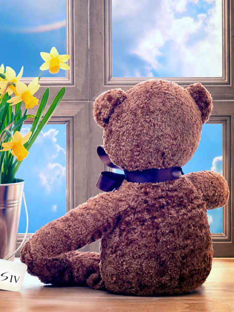 Das Teddy Bear with Bouquet Wallpaper 480x640