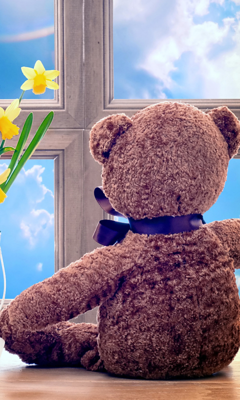 Das Teddy Bear with Bouquet Wallpaper 480x800