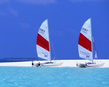 Обои Sailing Boats On Exotic Beach 220x176