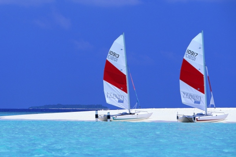 Fondo de pantalla Sailing Boats On Exotic Beach 480x320