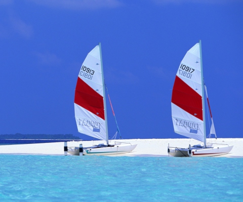 Fondo de pantalla Sailing Boats On Exotic Beach 480x400