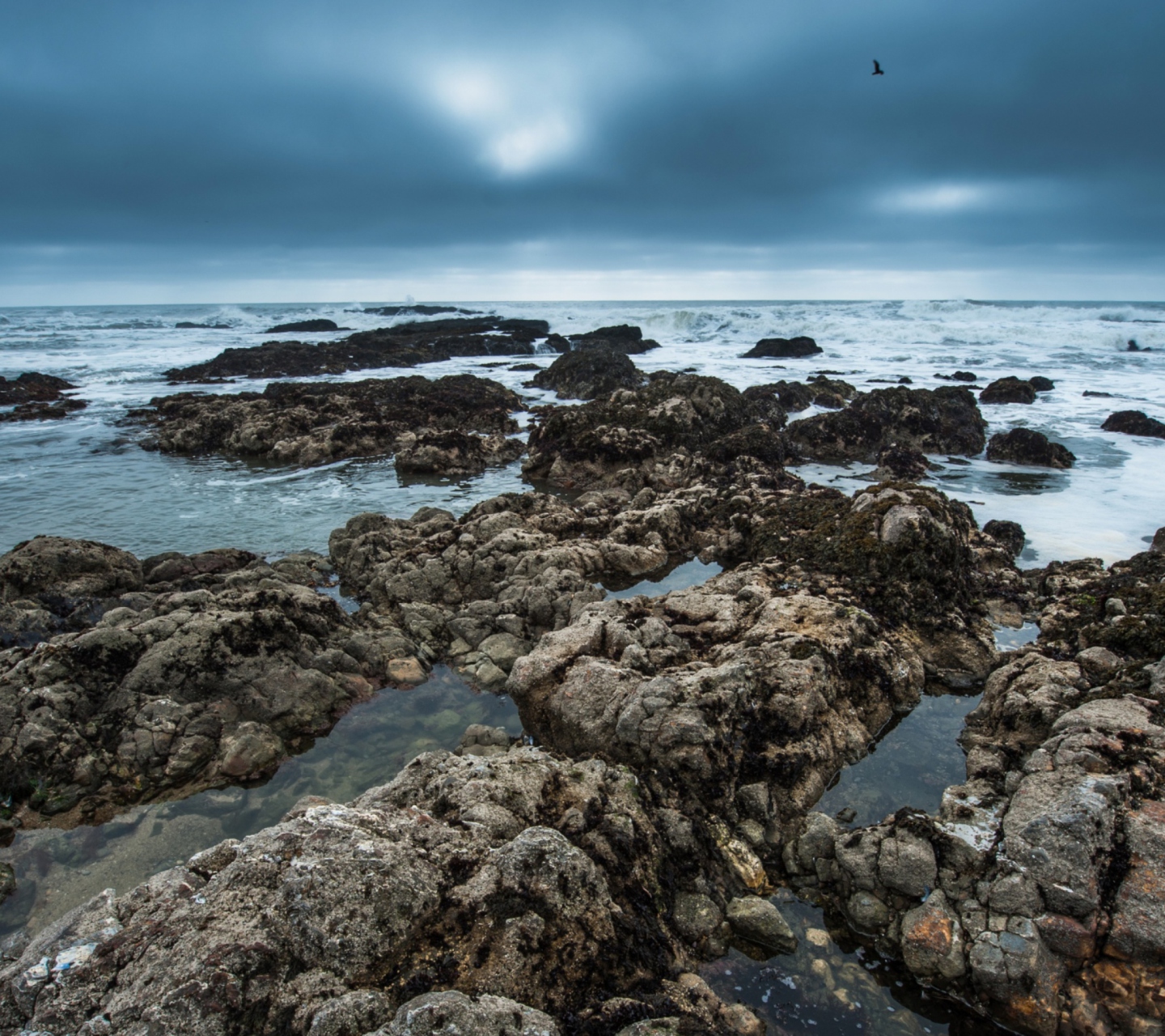 Stony Beach wallpaper 1440x1280